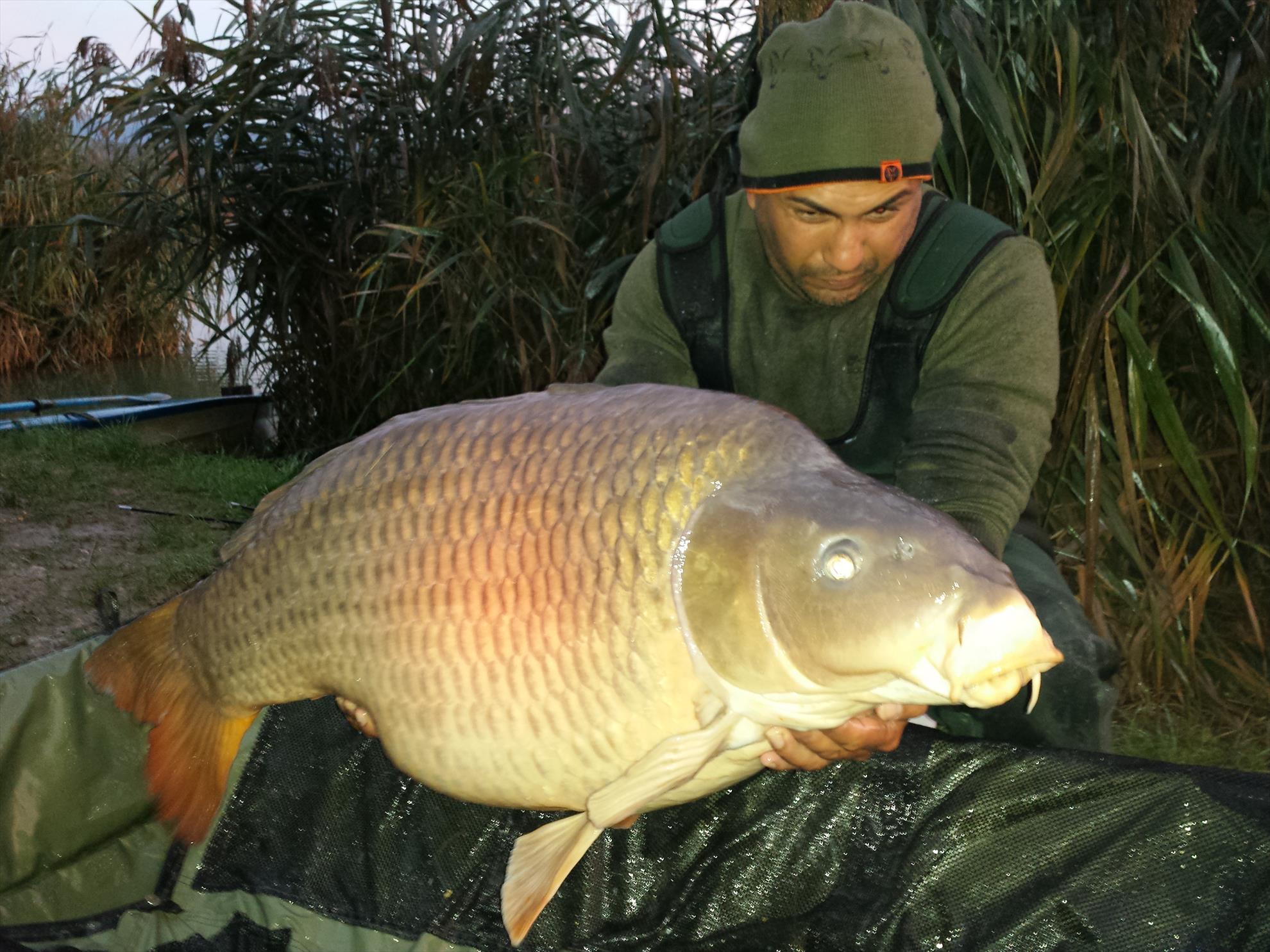 Harsany 2014 - 201410150645041.jpg